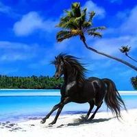 مشرف معضاد التميمي (@abo_mohand0) 's Twitter Profile