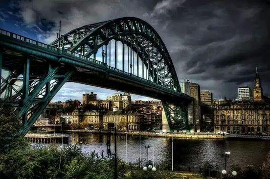 timintoon's profile picture. 