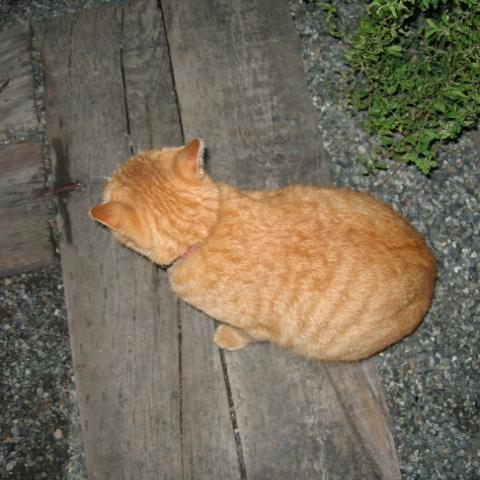 kouchanmiichan's profile picture. 日本が好きです。
🎲🎲🎲🎲🎲⚅　　　　　
　　　　　　　　　　　　　　　　　　　　　　　　　　　　　　　　　　
　　　　　　　　　　　　　　　　　　　　日本保守党