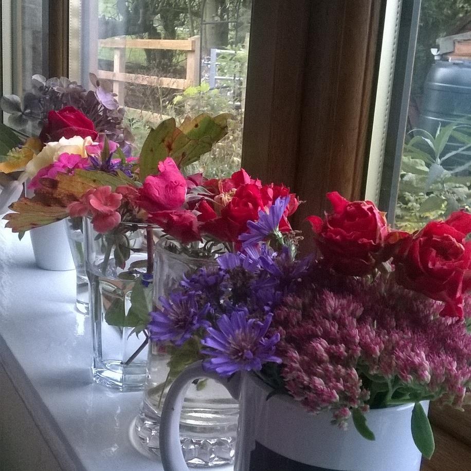 Timestable2b's profile picture. 