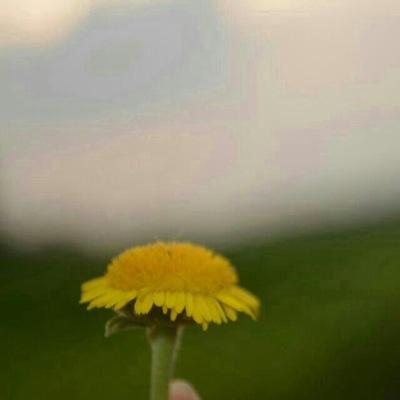 سبحان الله وبحمده
