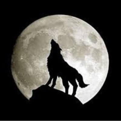 king2_511's profile picture. الخاص مفتوح ツ