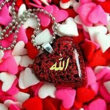 HamoodMama's profile picture. 