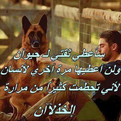 ‏‏مبداي مع ربعي على العز والطيب
ولو   ينهدم   بيت  المعزّه   عمرته
ماني  مدور  في  رفيقي  عذاريب
وأن شفت عذروبه  بعيني  سترته