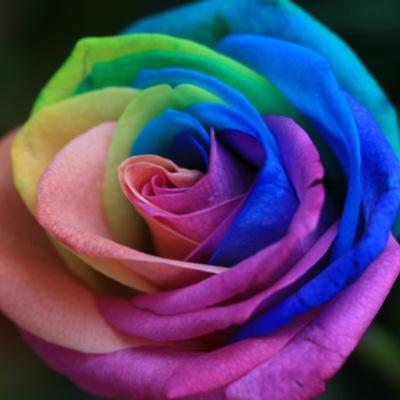 anonymousblog6's profile picture. This blog will stay anonymous. I hope that be sharing my life and experiences with you will help some of you in some way shape or form