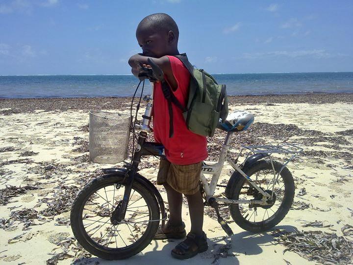 alphyaem's profile picture. I saw a man with a pro-box written Don't trust ladies I have a feeling that one day this Guy had a range Rover .