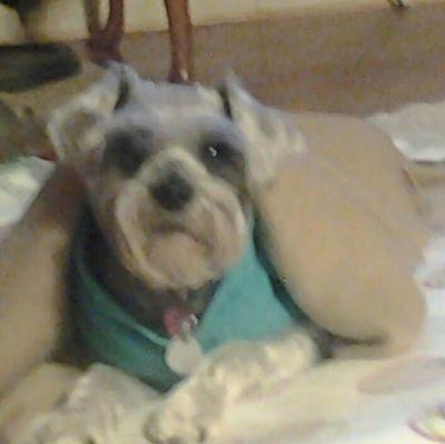 OgleEdith's profile picture. 