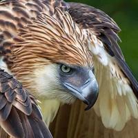 중년가장(에스쁘와) (@a101709) 's Twitter Profile Photo