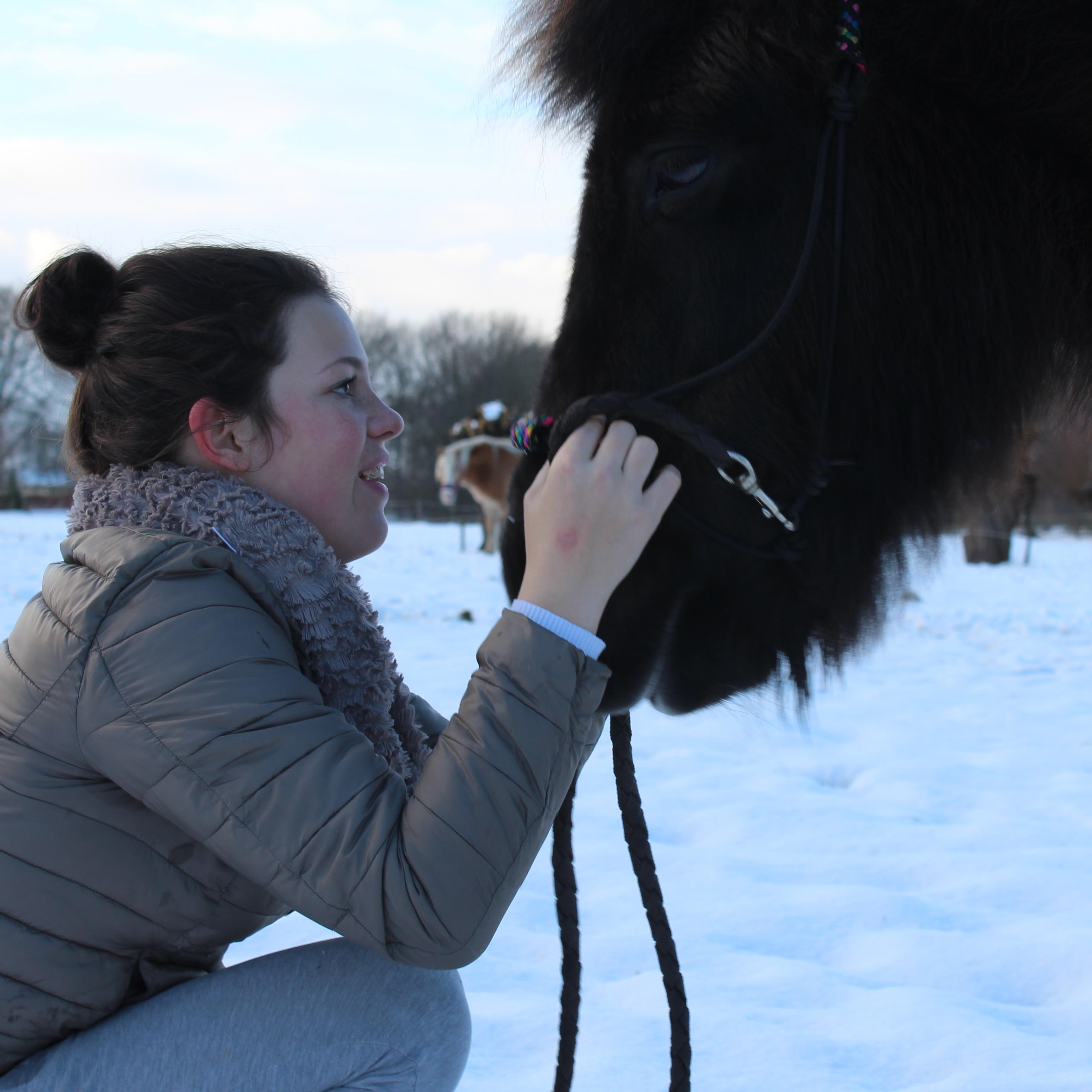 Move in the rhythm of your horse.✨ Proud caretacker of Itsja Since {23-08-2013}
