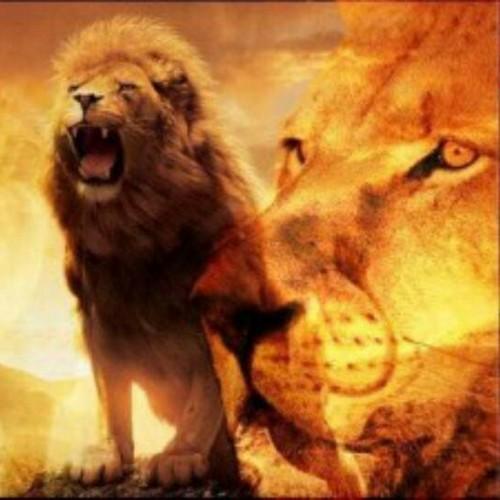 zammarj's profile picture. 