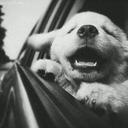 Melvin Acevedo - @melvinacevdo912 - Twitter