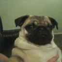 SIMON WARNER - @BOONUTH - Twitter