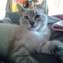 Samara Morales - @amysamara84 - Twitter