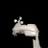 NBPTweather's profile image