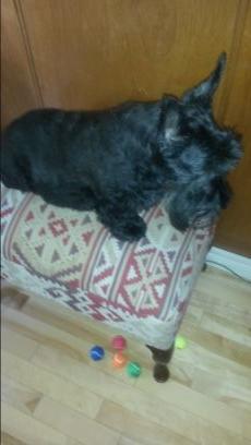 JdJdom10's profile picture. Single man