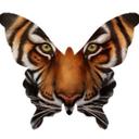 Daniel Delfin - @danieldelfin - Twitter