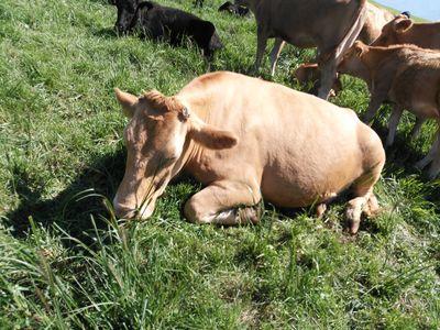 bdvb157mn1's profile picture. あっちのアカウントをfollow me♡