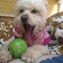 Erick Bustillos - @bustillos581234 - Twitter