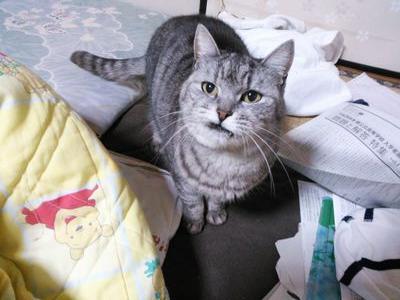 yusuke981063's profile picture. Às vezes, uma conclução clara e racional parece que loucura.