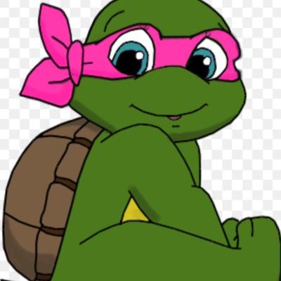 My Name Is Brie And I am soon to be Training To Be A Ninja I am Strong And Brave I can Be funny And Smart When I Want To Be. My Powers Are Ice And Snow