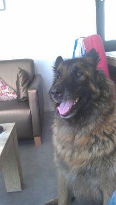 KemperObelix's profile picture. 