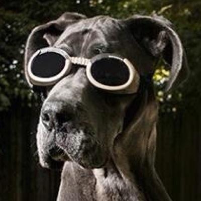 melmac918's profile picture. 🦋 https://t.co/oa6PO1Acco     🇺🇦 #resist, and be sweary about it. Detective & honeybadger. 🚫 MAGAts; 🖕🏻DJT.