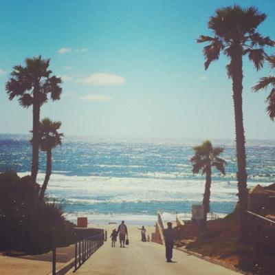 OceaniaAcademy's profile picture. Welcome to Oceania Academy, the school for students who want to excel in a certain field of study involving biology! Come join us here! [@/DM for a role]