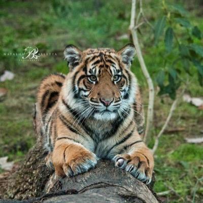 LindsayDawn88's profile picture. I Have FND ☹