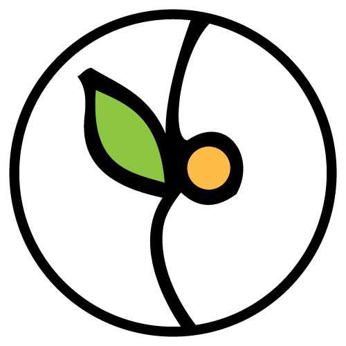 #littleleafbignutrition #moringalove