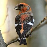 roy twigg (@roytwigg) 's Twitter Profile Photo