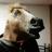 brrobert2's profile image