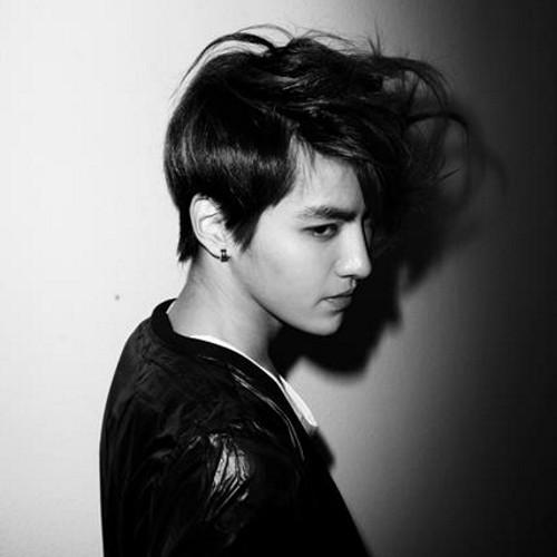 KRIS_HSO Profile Picture
