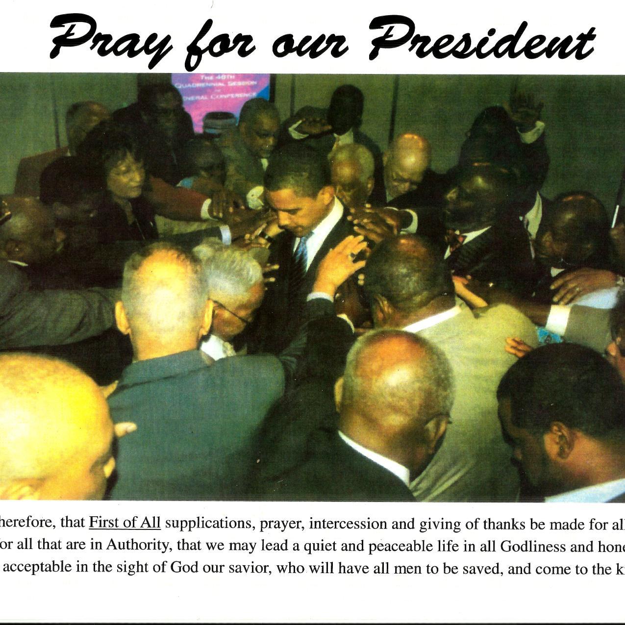 savantwillis's profile picture. 