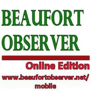 bobserver's profile picture. 