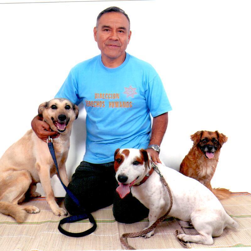 abogado penalista