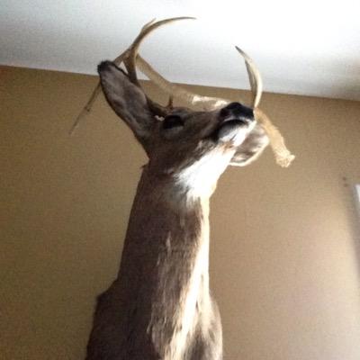 jjd012201's profile picture. 