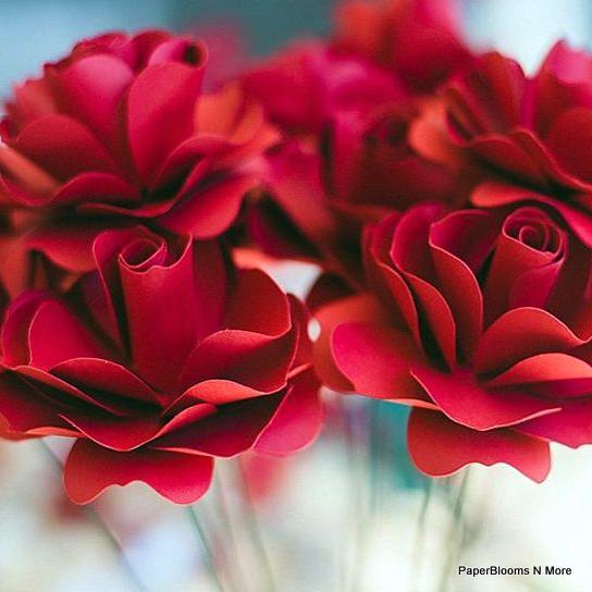 ChrissyLaneDesi's profile picture. we love paper and every thing it blooms.  also check out our Just Roll With it custom Engraved Rolling Pins.