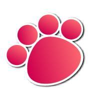 I Love Pets is a specialist UK based designer and boutique pet store offering pet carriers, dog carriers and cat carriers from brand names such as Puchi Petwear