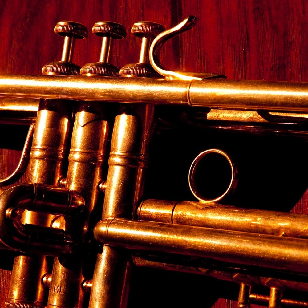 for band geeks, orch dorks and music nerds alike!