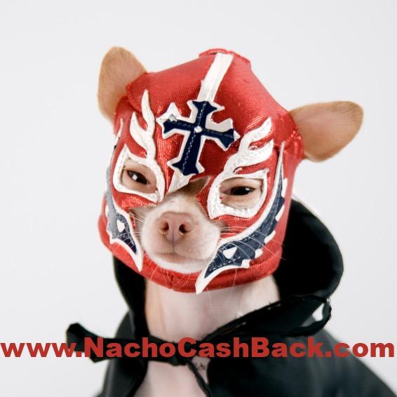 Learn to be a #superhero and get #cashback #deals when #shopping online at brand name stores!