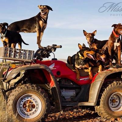 JanSafp's profile picture. South African farmer living in the Northern  Cape