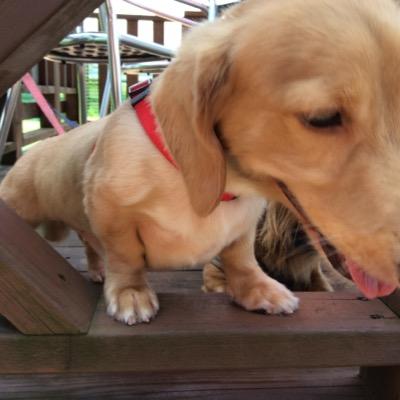 tktktktk4jp's profile picture. 