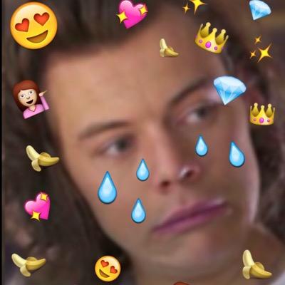 fckmehazzy's profile picture. my first real crush is @Harry_Styles.