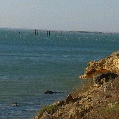 NMaritza4's profile picture. 