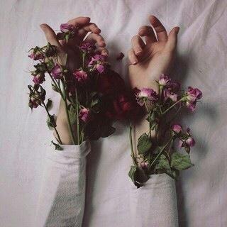 @sara1718_