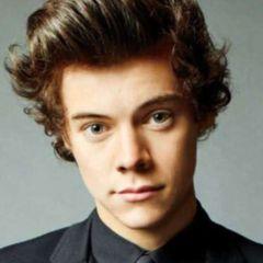 grupo de directioners se quiser entrar manda o nome e o número na dm