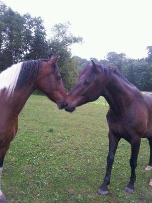 ernstprammer60's profile picture. 