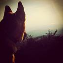 David Streeter - @dstreetd43 - Twitter