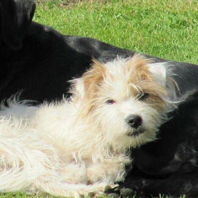 35fad796a972446's profile picture. 