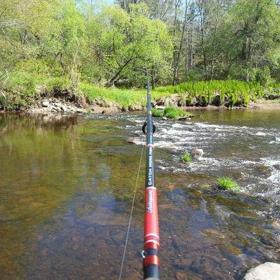 Fishnovascotia's profile picture. 